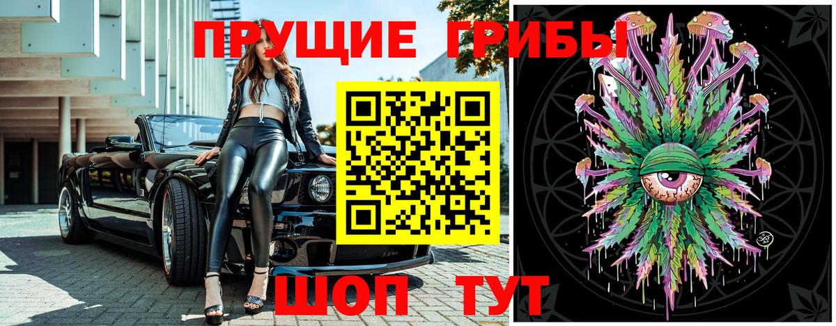 где купить наркоту  Вход с VPN  Муром  Галлюциногенные грибы Psilocybe 